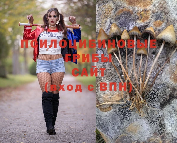 героин Алексин
