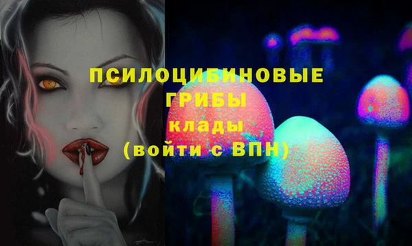 героин Алексин