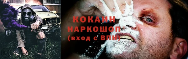 соль ск Алзамай