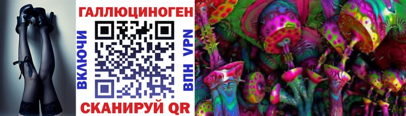 Псилоцибиновые грибы Psilocybine cubensis  hydra ссылка  Гурьевск 
